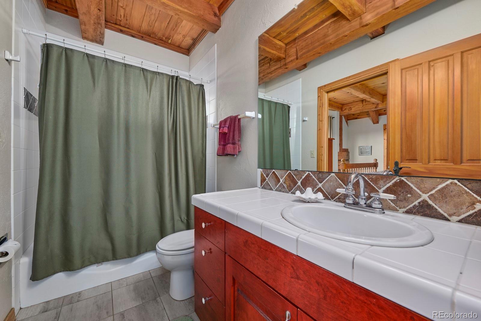 2847 Ridge Road Nederland, CO 80466 - Photo 22 of 40 a bathroom with a sink a toilet and shower curtain