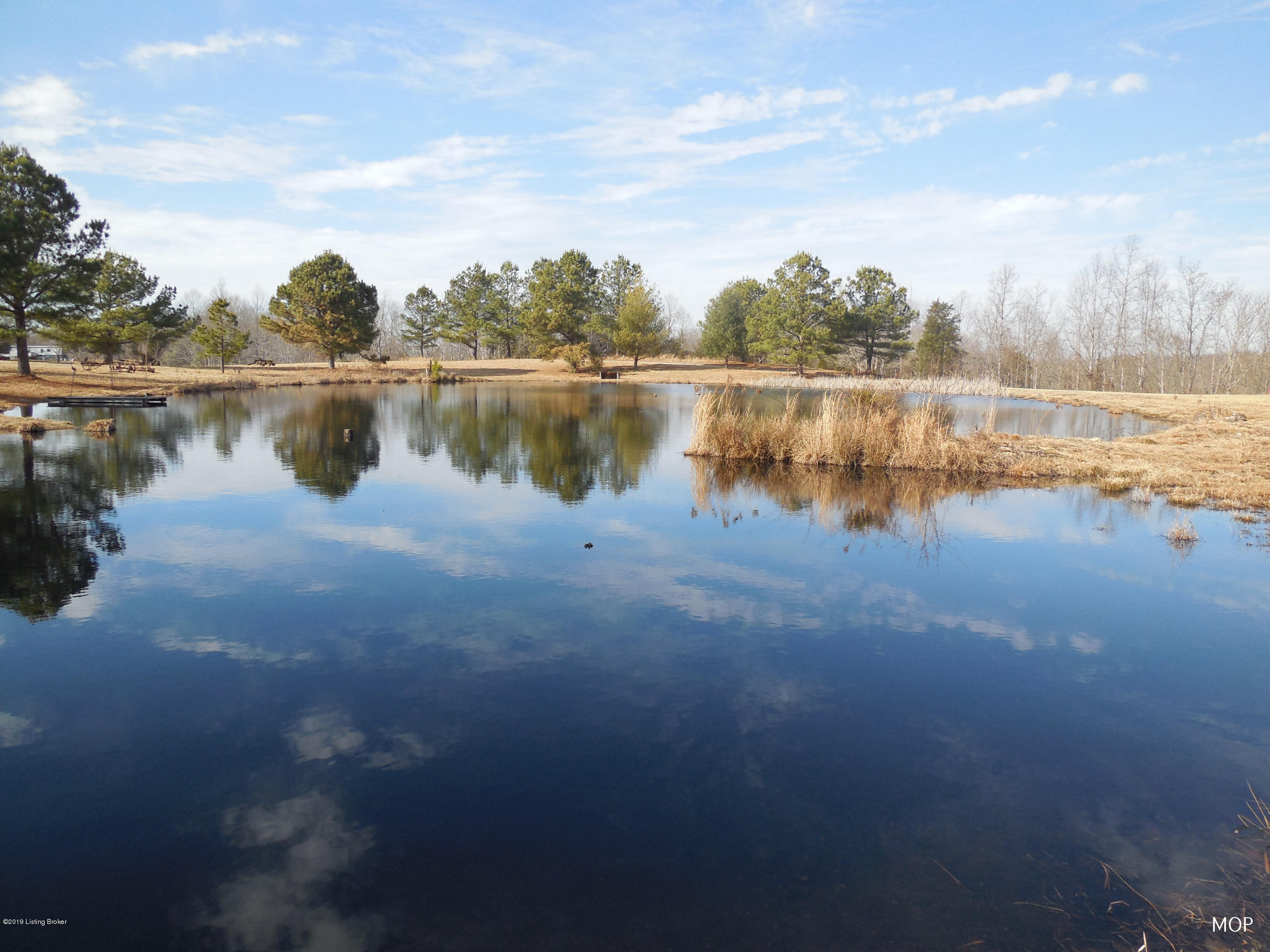 5498 Reese Hurt Road Breeding, KY 42715 - Photo 21 of 41 Pond 3