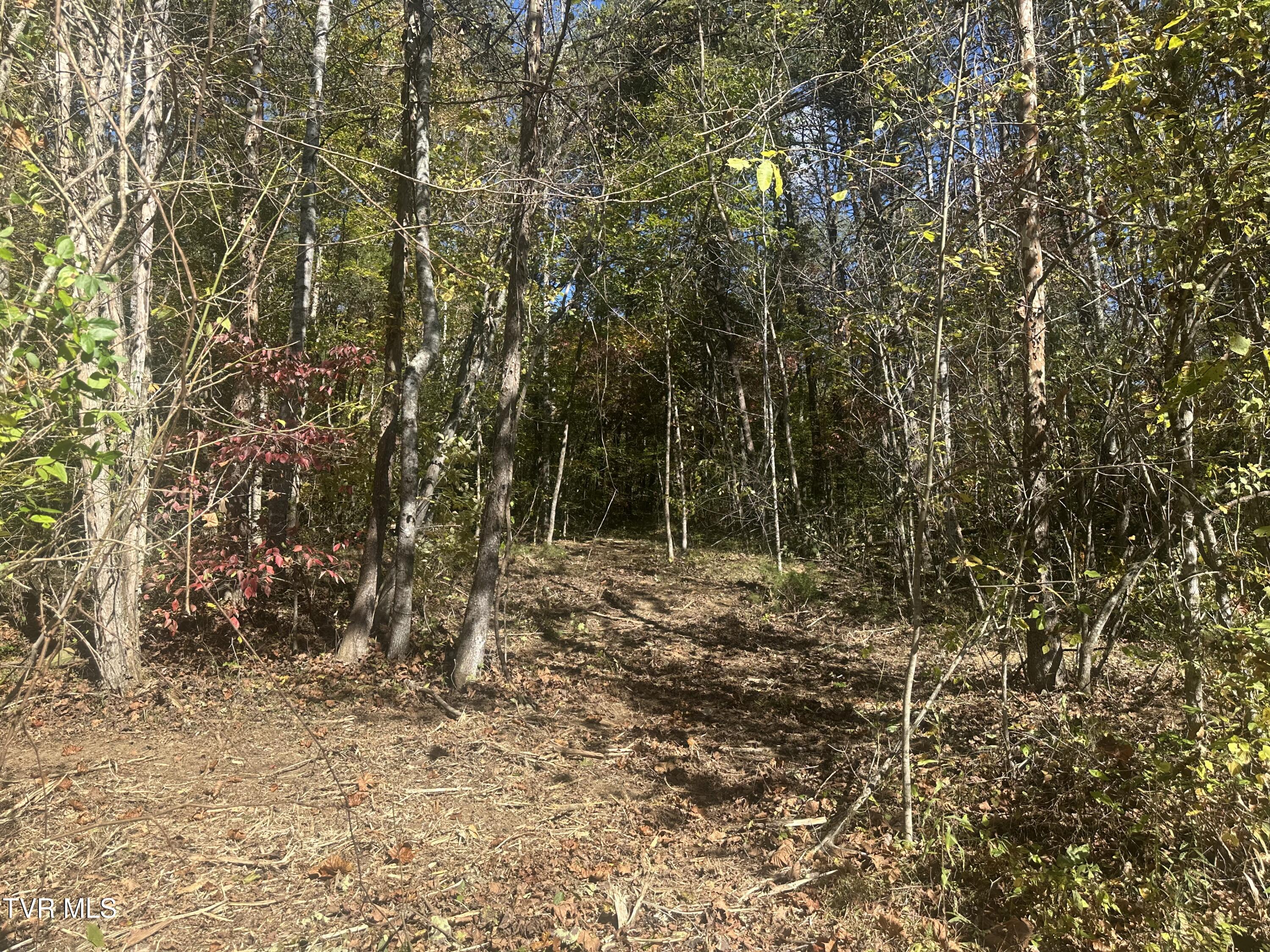 Lot 1 Butcher Valley Road Rogersville, TN 37857 - Photo 1 of 2 BV1