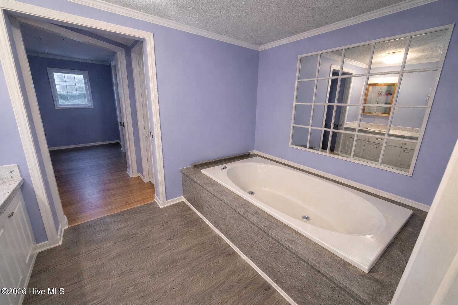 16487 St Johns Church Road Gibson, NC 28343 - Photo 9 of 31 Master Bath