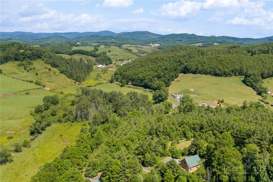 2163 Phillips Gap Road West Jefferson, NC 28694 - Photo 43 of 47