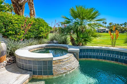 a view of a yard with plants