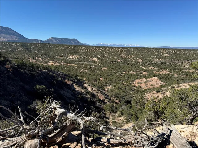 a view of city and mountain