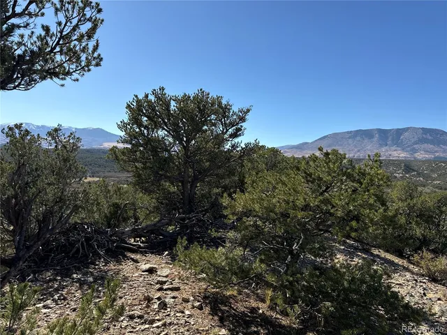 a view of a forest with a mountain in the background