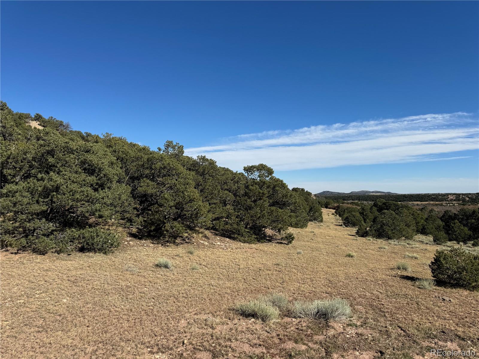 L41 Co Road, Unit BB Gardner, CO 81040 - Photo 21 of 22 a view of mountain view with mountain view
