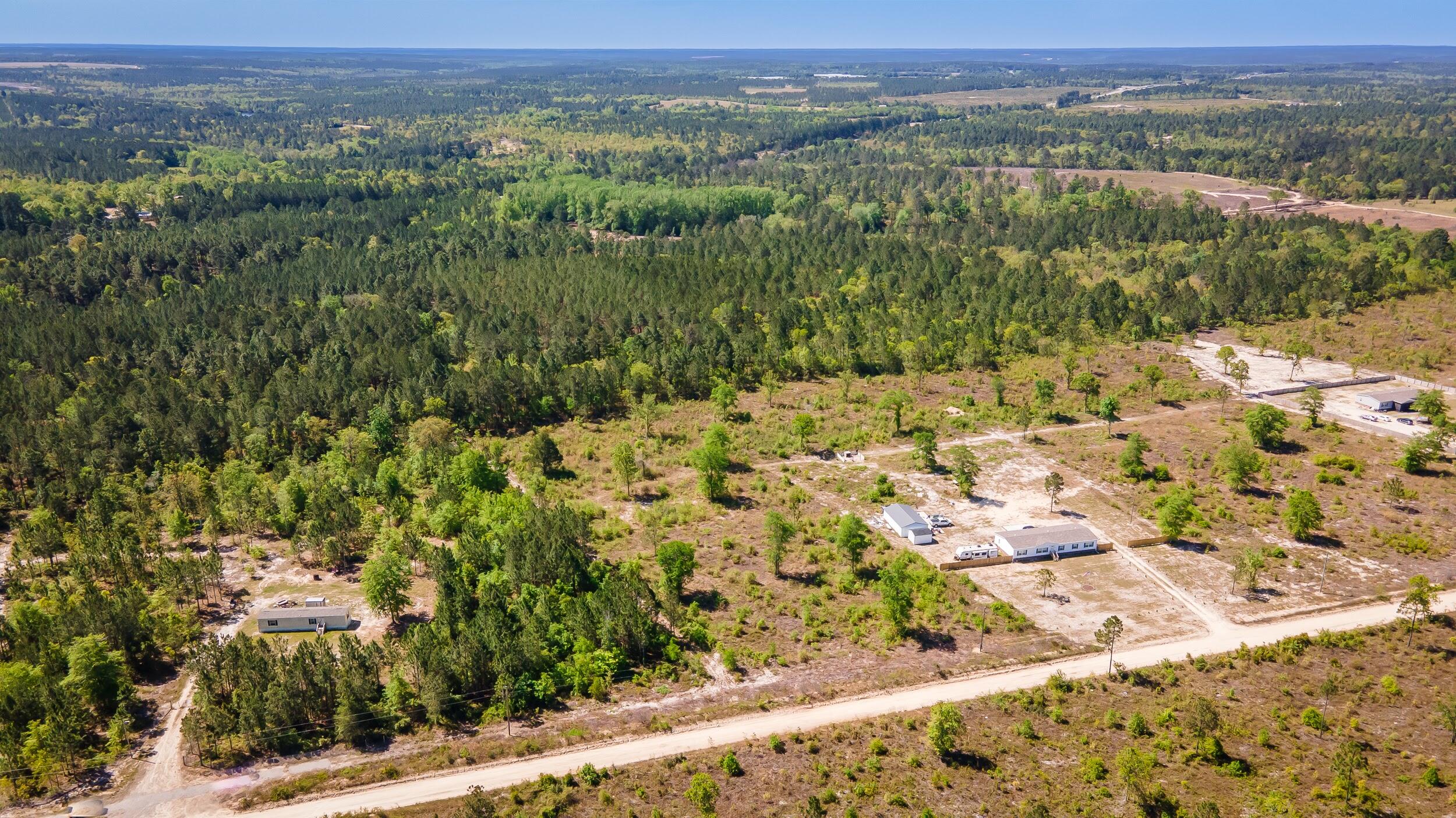 3-acres Old Shoals Road Monetta, SC 29105 - Photo 6 of 12