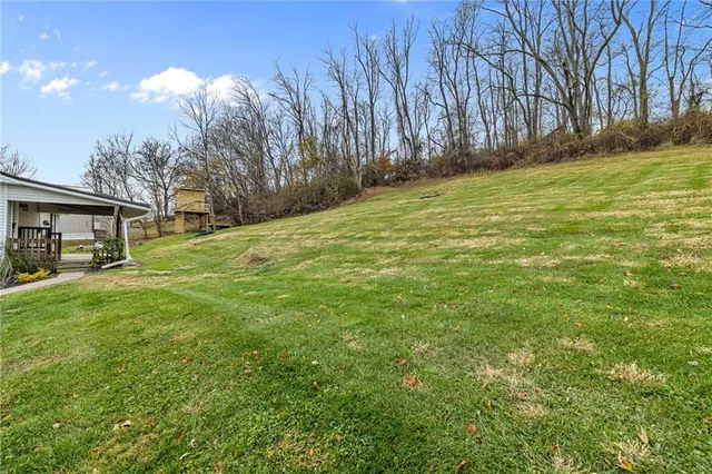 a view of a backyard with large trees