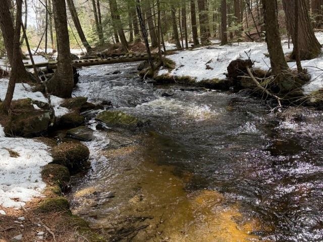 75 Clark Mill Road Weare, NH 03281 - Photo 15 of 60 Gallery Image 15
