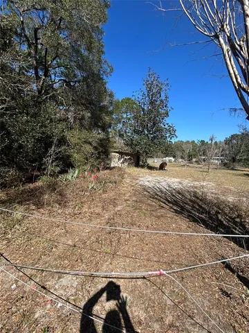a view of backyard of the house