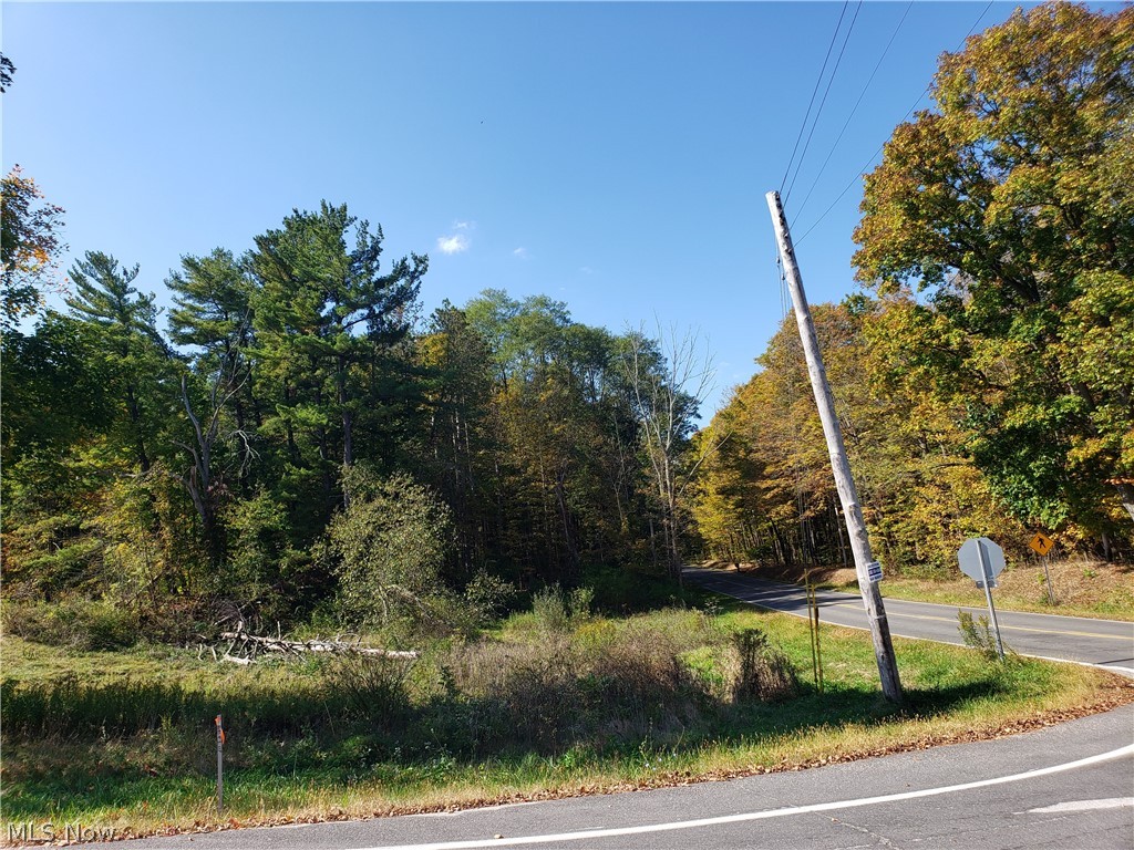 State Road Medina, OH 44256 - Photo 2 of 9