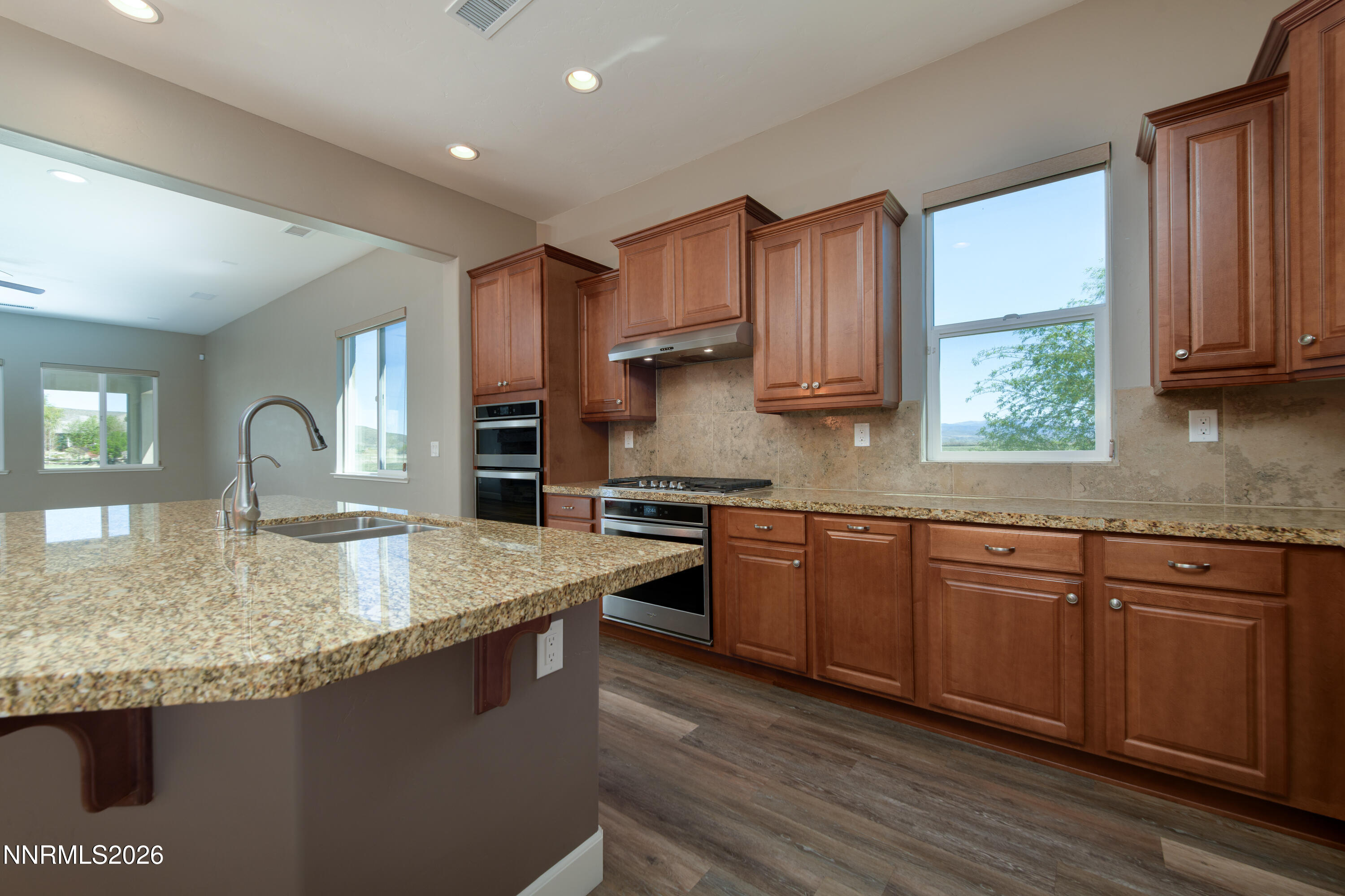 466 Egret Court Genoa, NV 89411 - Photo 18 of 56 466 Egret Ct-29