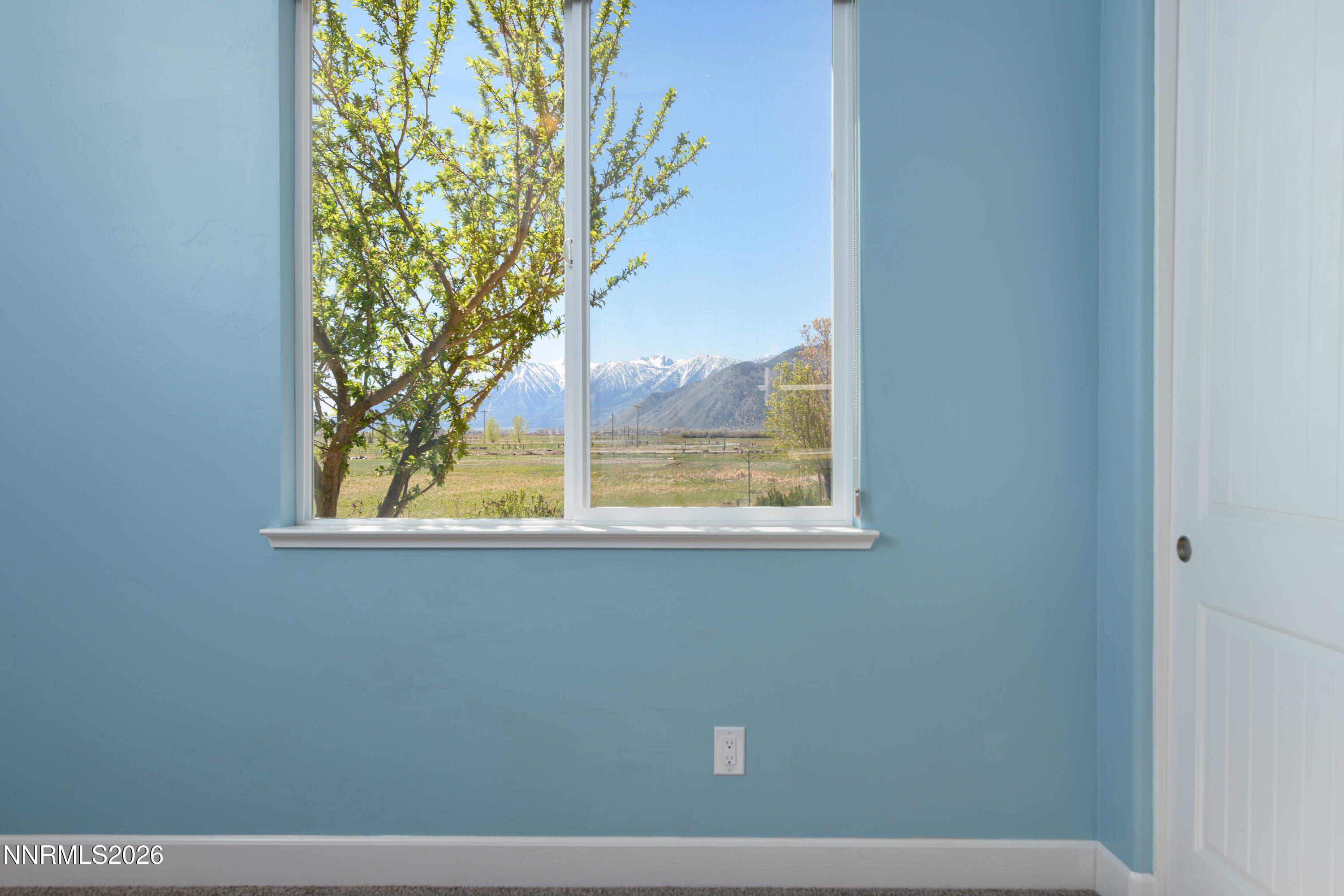 466 Egret Court Genoa, NV 89411 - Photo 25 of 56 466 Egret Ct-36
