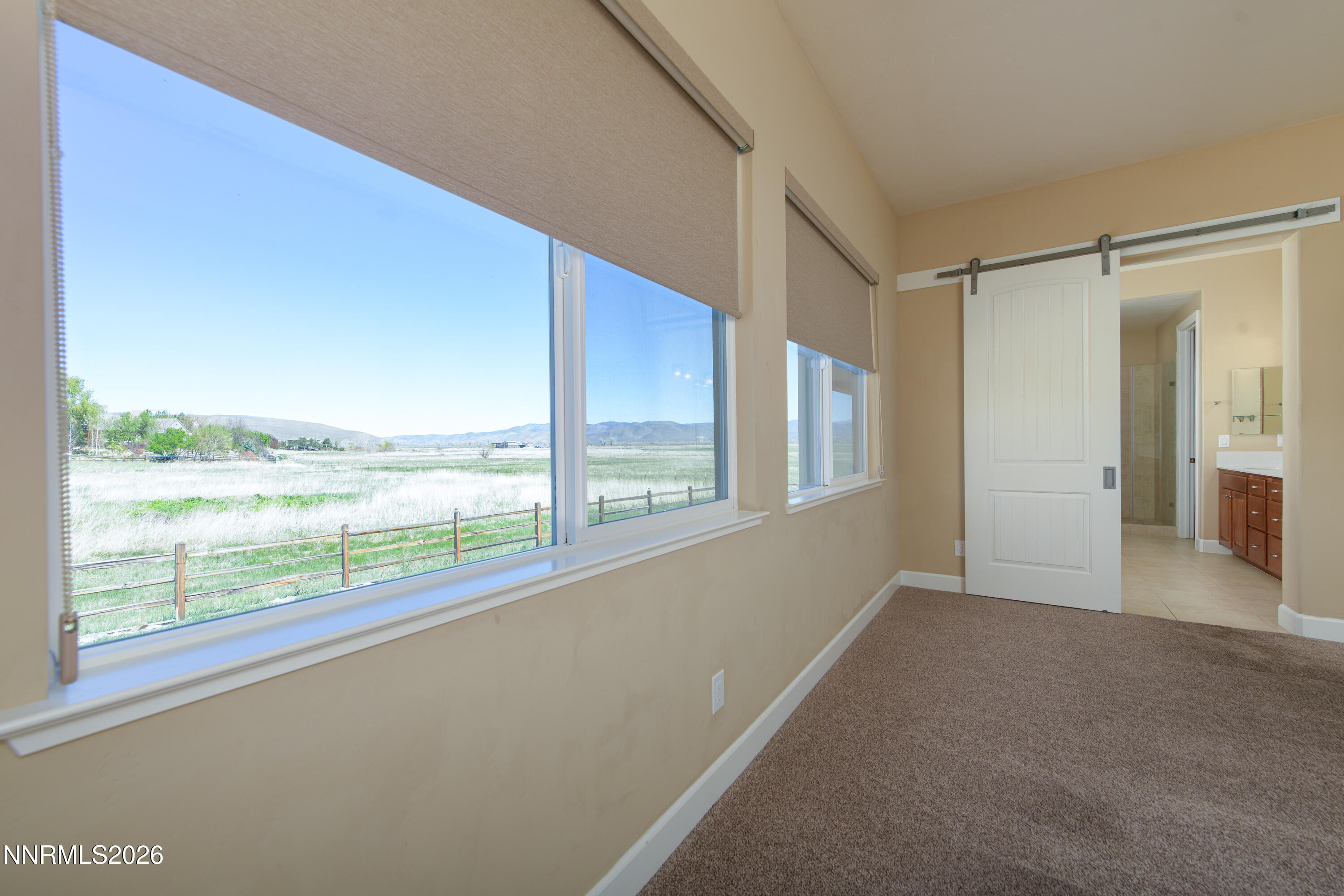 466 Egret Court Genoa, NV 89411 - Photo 33 of 56 466 Egret Ct-44