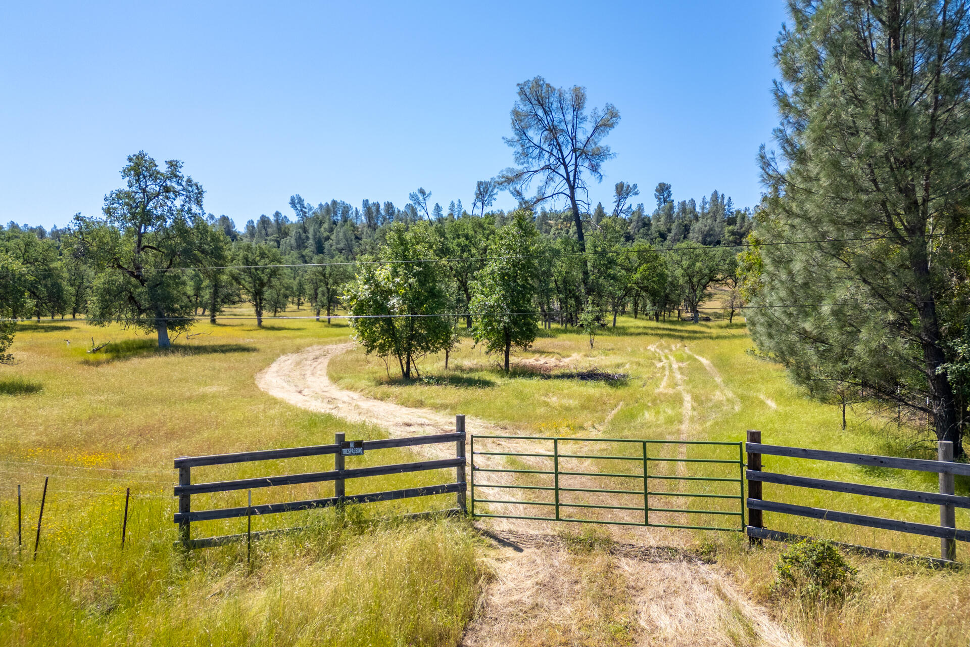 0 Racoon Way Oak Run, CA 96069 - Photo 5 of 39 DJI_0668-HDR