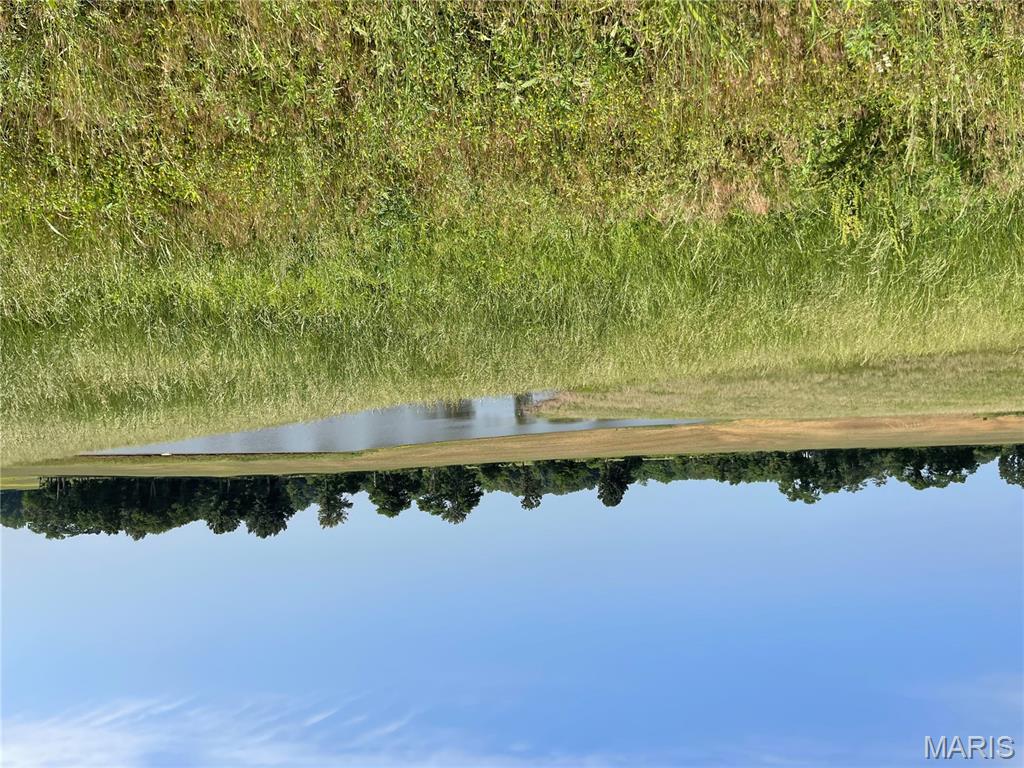 0 Tract 4 County Road Bloomfield, MO 63825 - Photo 2 of 2