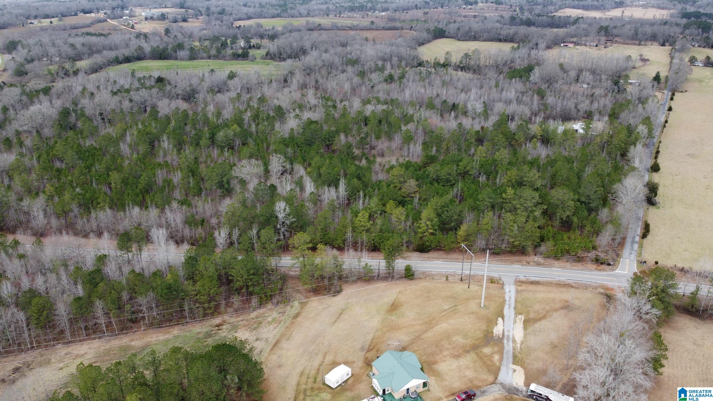 0 County Road 511, Unit 1 Verbena, AL 36091 - Photo 9 of 10