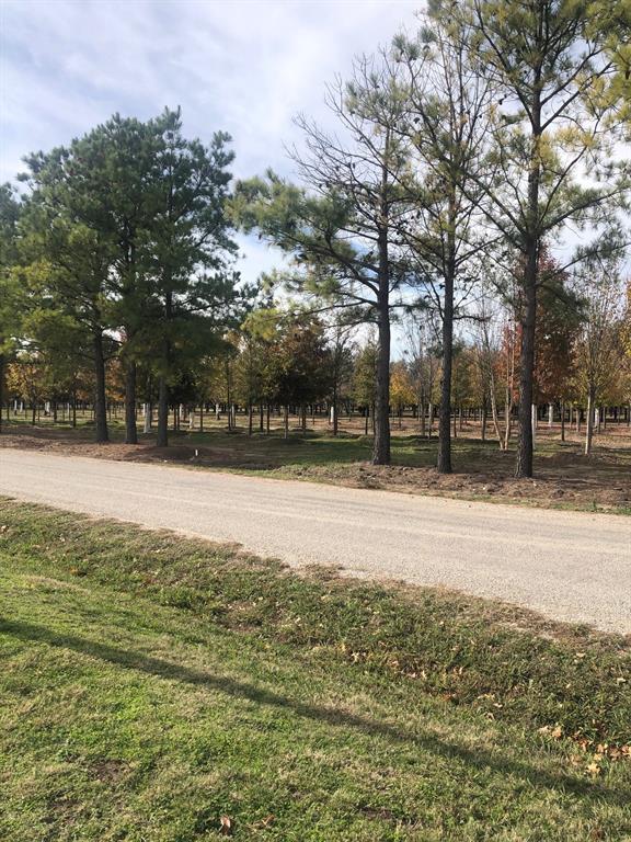 Tbd Jenkins Road Collinsville, TX 76233 - Photo 3 of 3 Street View across the road