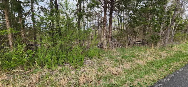 $29,999 | 0 Webster Road, Glade Hill, VA 24092