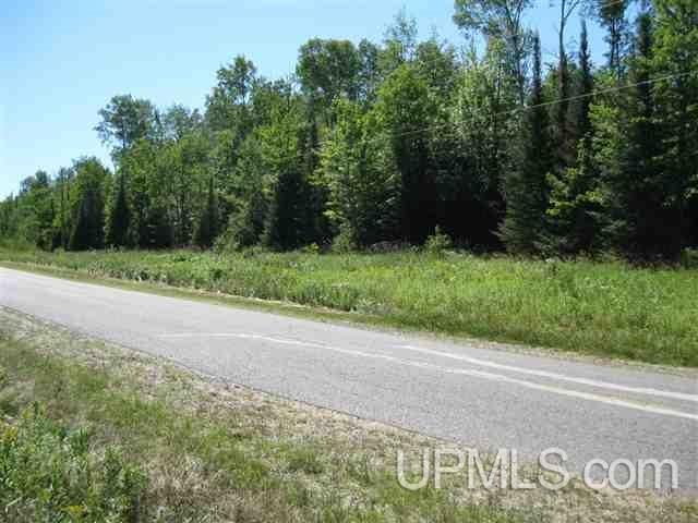 Srn-2-1 Leek Road Covington, MI 49919 - Photo 9 of 13