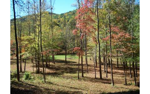 4-acr Stephens Road Blairsville, GA 30512 - Photo 1 of 1 Main View