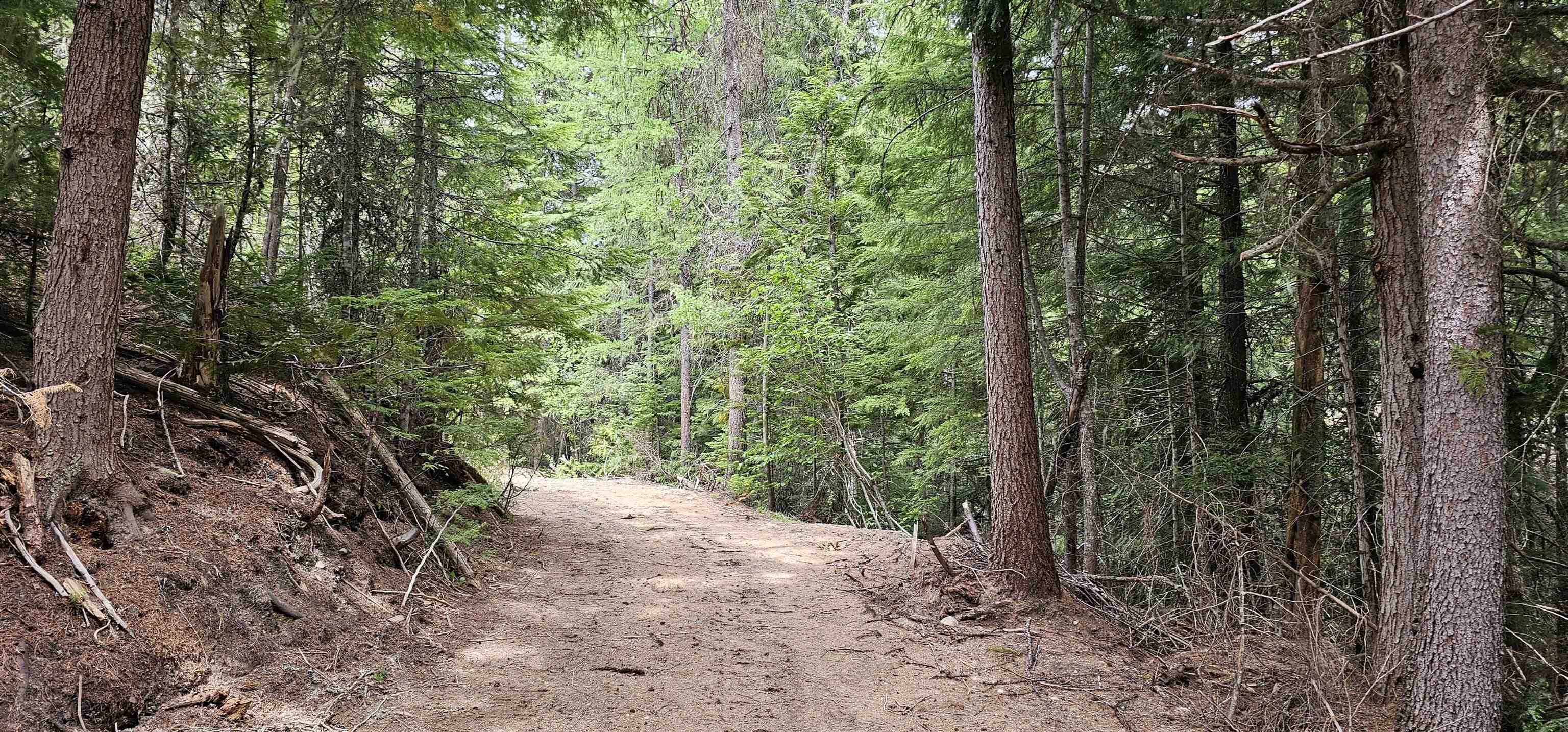 1963 Black Lake Road Colville, WA 99114 - Photo 2 of 23 Gallery Image 2