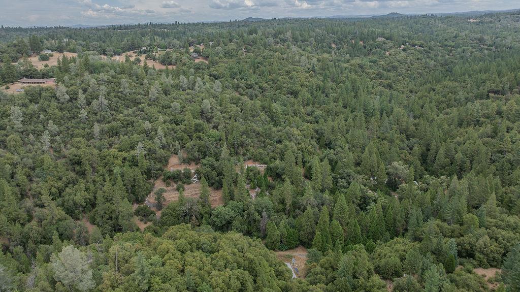18101 Old River Road Fiddletown, CA 95629 - Photo 43 of 53 Gallery Image 43