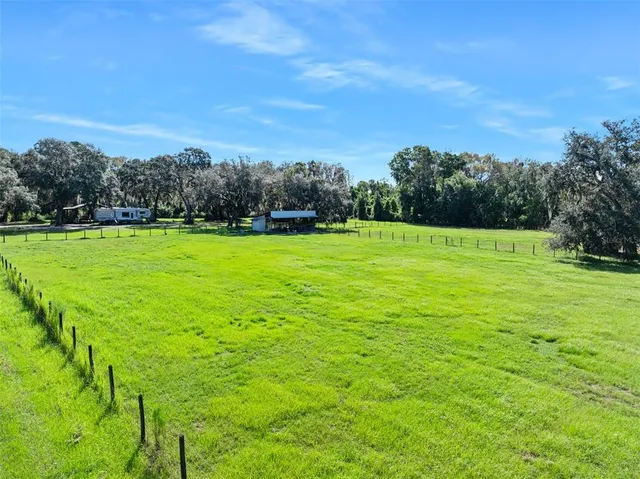 a view of a big yard with plants and large trees