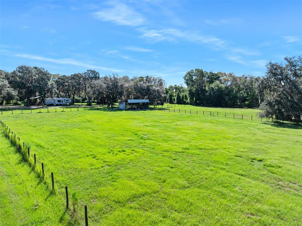 Roberts Road Pierson, FL 32180 - Photo 25 of 36 a view of a big yard with plants and large trees