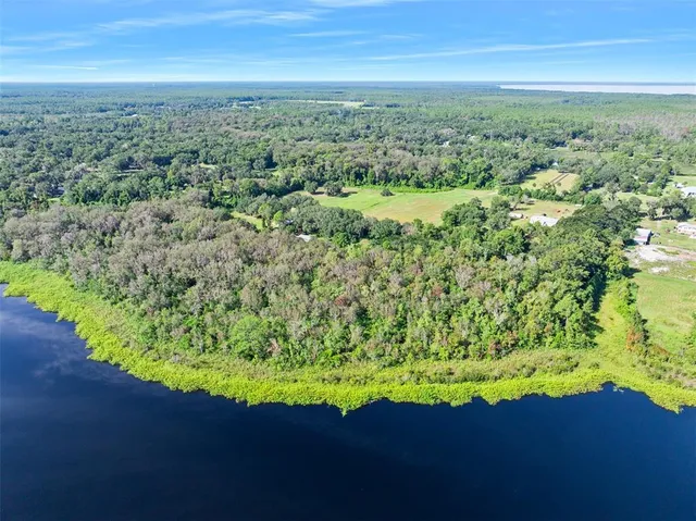 an aerial view of residential houses with outdoor space and trees
