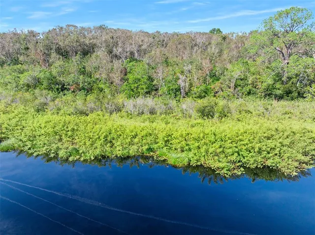 a view of a garden from a yard