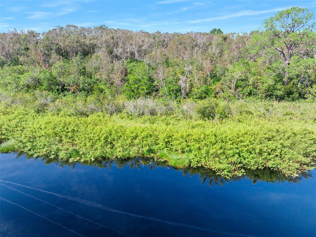 Roberts Road Pierson, FL 32180 - Photo 36 of 36 a view of a garden from a yard