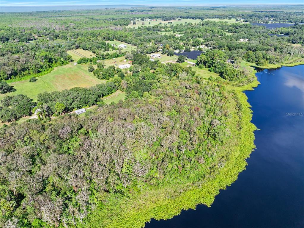 Roberts Road Pierson, FL 32180 - Photo 4 of 36 a view of a garden