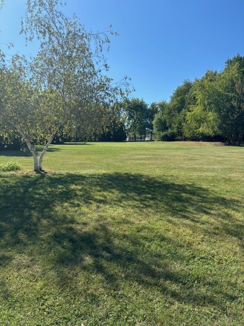 14607 Knob Hill Drive Heyworth, IL 61745 - Photo 3 of 17