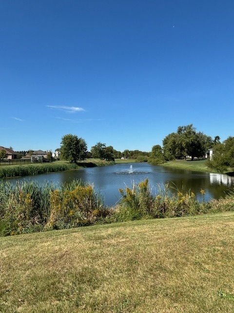 14607 Knob Hill Drive Heyworth, IL 61745 - Photo 4 of 17