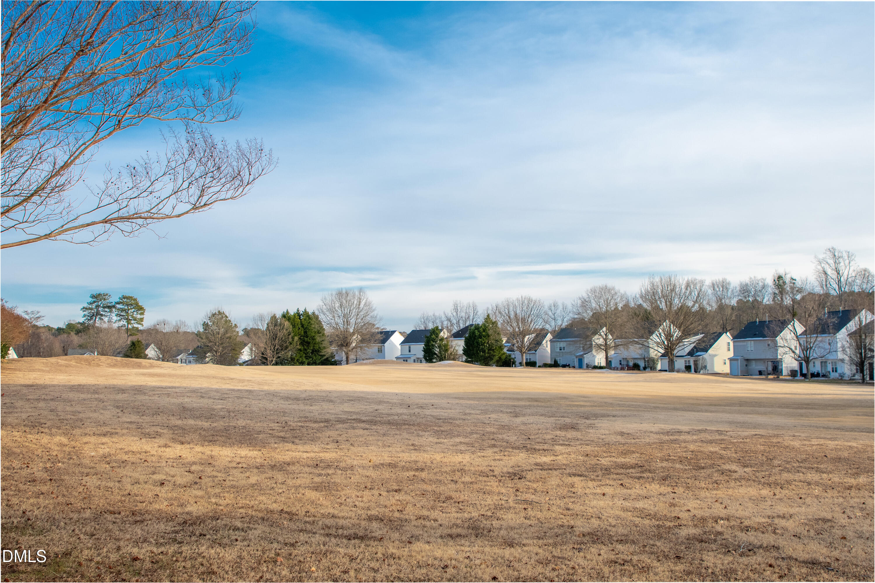 5436 Grand Traverse Drive Raleigh, NC 27604 - Photo 27 of 31 Golf Course Backyard