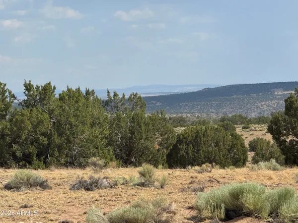 $15,000 | Lot 545 Woodland Valley Ranch, Unit 545C, St. Johns, AZ 85936