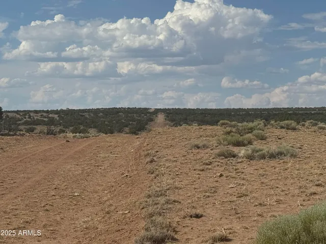 $16,000 | Lot 545 Woodland Valley Ranch, Unit 545C, St. Johns, AZ 85936