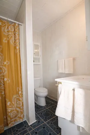 a bathroom with a toilet and a shower curtain