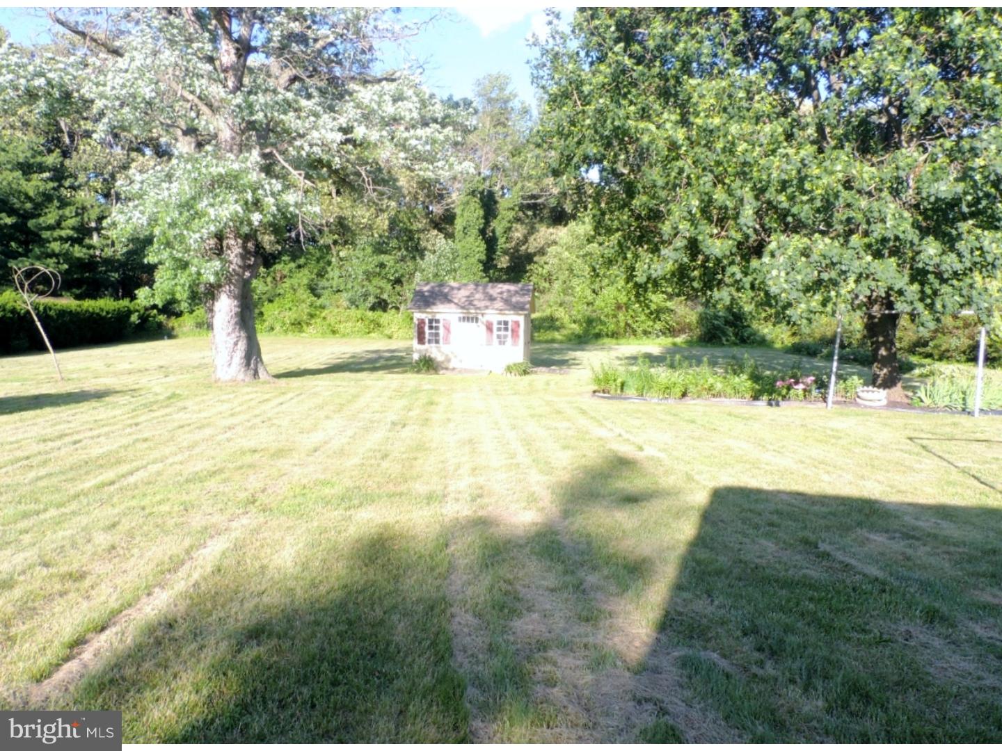 249 Woodruff Road Bridgeton, NJ 08302 - Photo 19 of 23 Back Yard