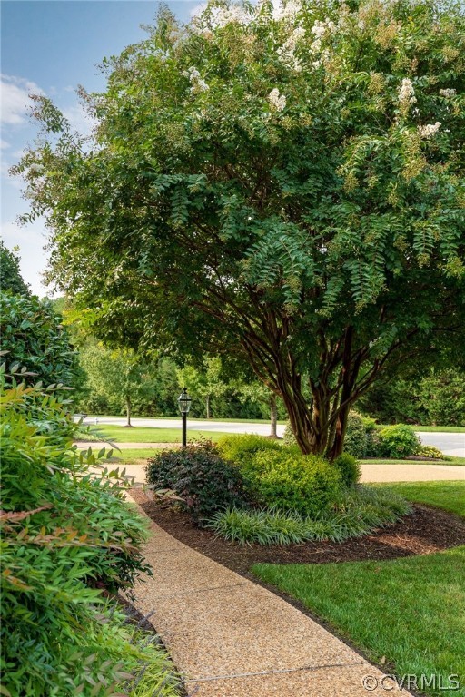 2801 Founders Bridge Road Midlothian, VA 23113 - Photo 3 of 48 Gallery Image 3