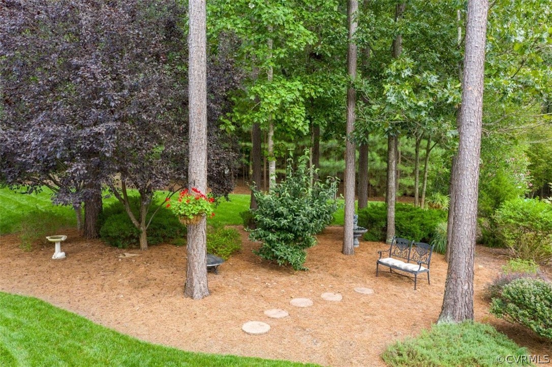 2801 Founders Bridge Road Midlothian, VA 23113 - Photo 45 of 48 Gallery Image 45