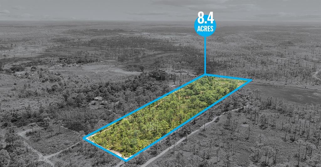 0 Palm Frond Road St. Cloud, FL 34773 - Photo 2 of 12 a street sign on a rock next to a road