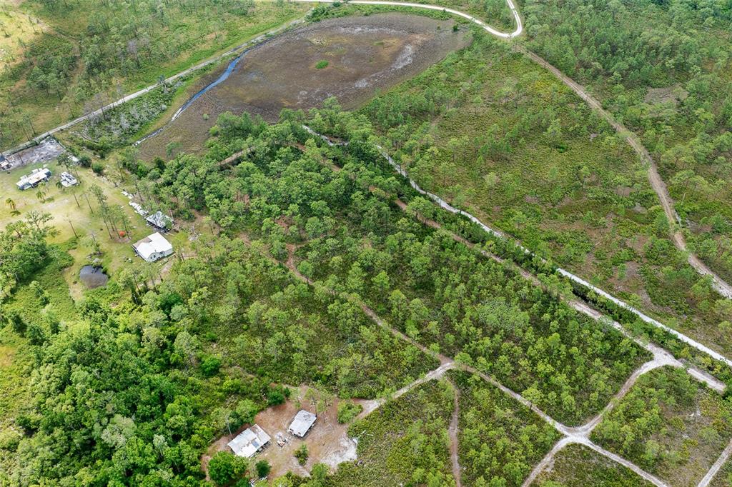 0 Palm Frond Road St. Cloud, FL 34773 - Photo 5 of 12 a view of a yard