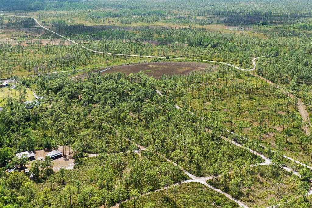 0 Palm Frond Road St. Cloud, FL 34773 - Photo 6 of 12 a view of a field with plants