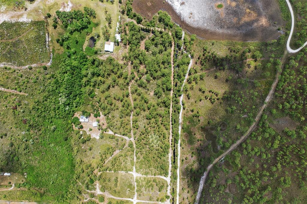 0 Palm Frond Road St. Cloud, FL 34773 - Photo 9 of 12 a view of a garden
