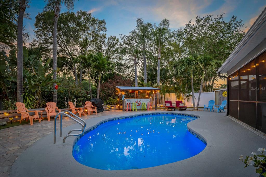 808 Rustic Oaks Drive Palm Harbor, FL 34684 - Photo 41 of 55 a view of a swimming pool with chairs in patio