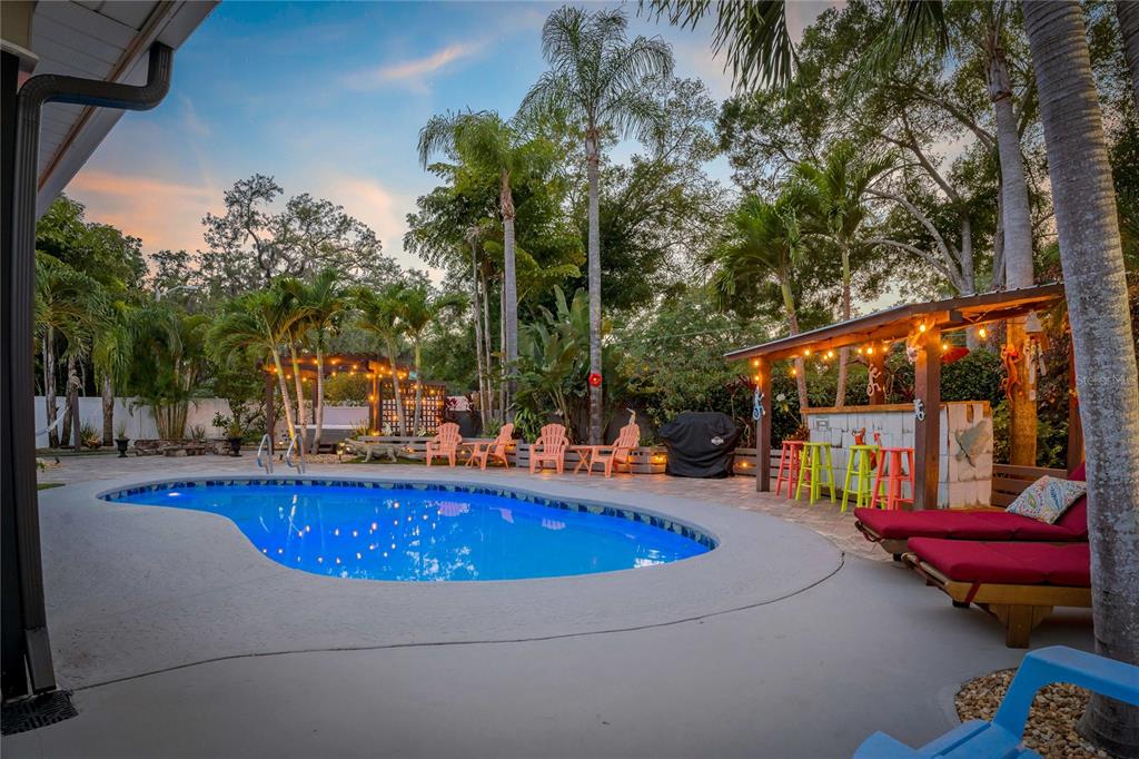 808 Rustic Oaks Drive Palm Harbor, FL 34684 - Photo 43 of 55 swimming pool view with sitting space and garden view