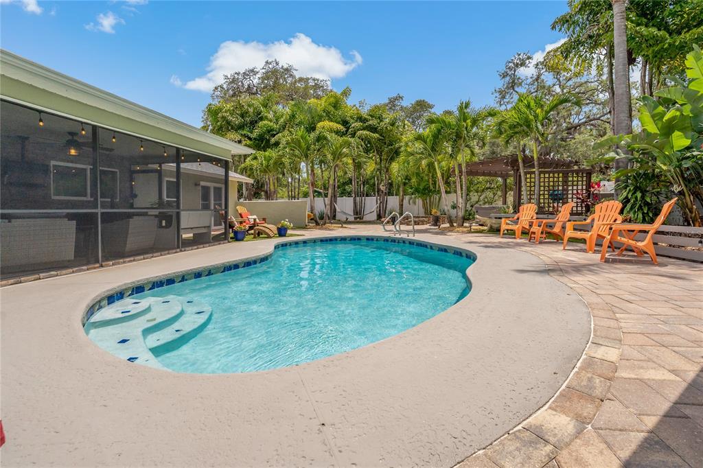 808 Rustic Oaks Drive Palm Harbor, FL 34684 - Photo 47 of 55 a view of a swimming pool with a sitting space