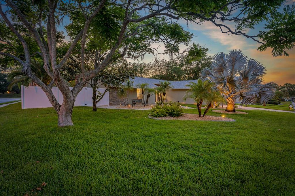 808 Rustic Oaks Drive Palm Harbor, FL 34684 - Photo 52 of 55 a view of a house with a big yard
