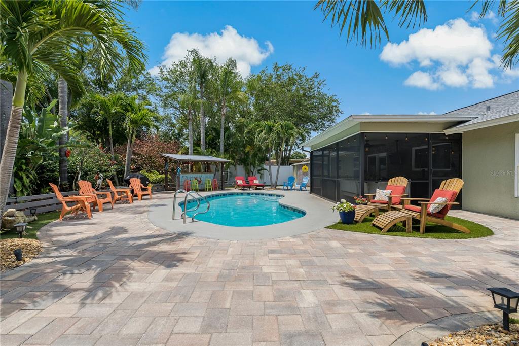 808 Rustic Oaks Drive Palm Harbor, FL 34684 - Photo 54 of 55 a view of a backyard with plants and a patio